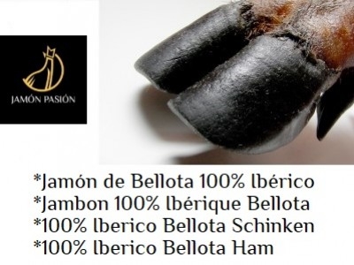 ¿Qué es un Jamón Pata Negra?
