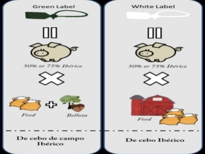 ¿Qué es Jamón Ibérico de Cebo de Campo y de Cebo?