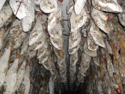 Moho en el jamón ibérico ¿Es perjudicial?